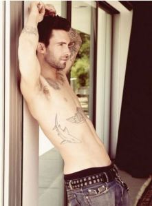 Yes, this shirtless photo of Adam Levine is essential to this blog post...you're welcome